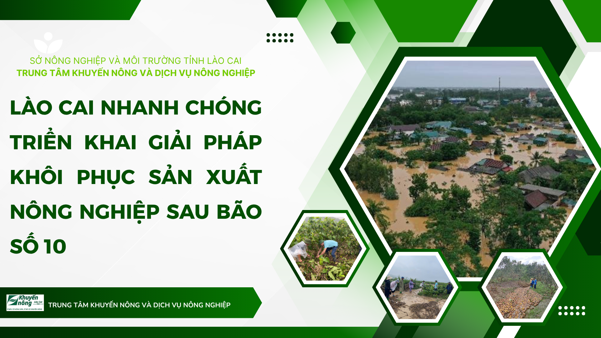 Giải pháp xử lý đáy ao nuôi trồng thủy sản bằng cách bồi bùn non giúp cải thiện độ chặt và giảm thấm nước